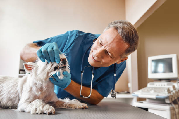 Best Walk-In Emergency Dental Services in Euclid, OH